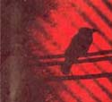 A Silver Mt Zion CD