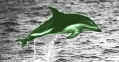 The Green Dolphin: Kreisais.