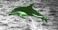 The Green Dolphin: Labais.