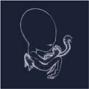 Sigur Rós CD