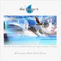 The Tangent CD